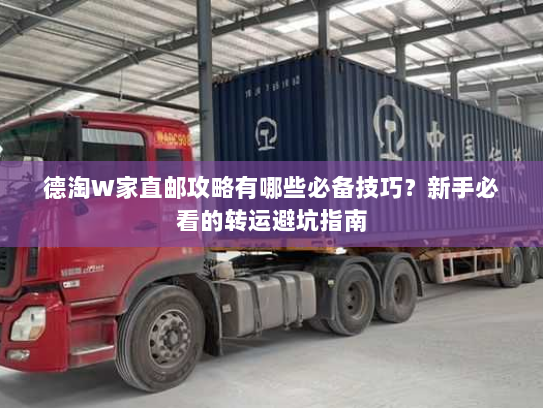 德淘W家直邮攻略有哪些必备技巧?新手必看的转运避坑指南 德淘W家直邮攻略有哪些必备技巧?新手必看的转运避坑指南