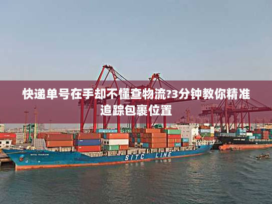 快递单号在手却不懂查物流?3分钟教你精准追踪包裹位置 快递单号在手却不懂查物流?3分钟教你精准追踪包裹位置