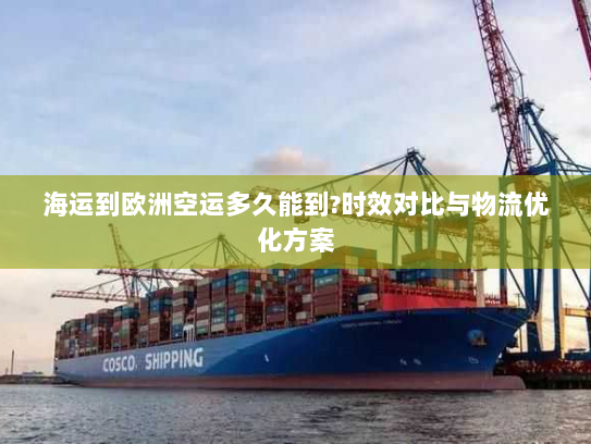 海运到欧洲空运多久能到?时效对比与物流优化方案 海运到欧洲空运多久能到?时效对比与物流优化方案