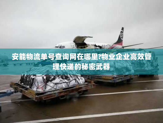 安能物流单号查询网在哪里?物业企业高效管理快递的秘密武器 安能物流单号查询网在哪里?物业企业高效管理快递的秘密武器