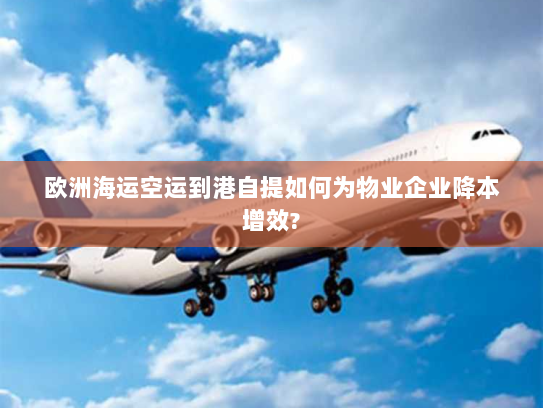 欧洲海运空运到港自提如何为物业企业降本增效? 欧洲海运空运到港自提如何为物业企业降本增效?