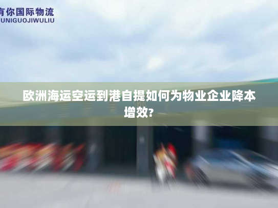 欧洲海运空运到港自提如何为物业企业降本增效? 欧洲海运空运到港自提如何为物业企业降本增效?