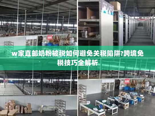 w家直邮奶粉被税如何避免关税陷阱?跨境免税技巧全解析 w家直邮奶粉被税如何避免关税陷阱?跨境免税技巧全解析