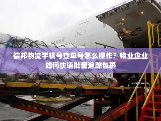 德邦物流手机号查单号怎么操作?物业企业如何快速批量追踪包裹 德邦物流手机号查单号怎么操作?物业企业如何快速批量追踪包裹