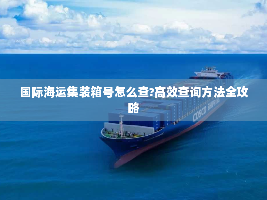 国际海运集装箱号怎么查?高效查询方法全攻略 国际海运集装箱号怎么查?高效查询方法全攻略