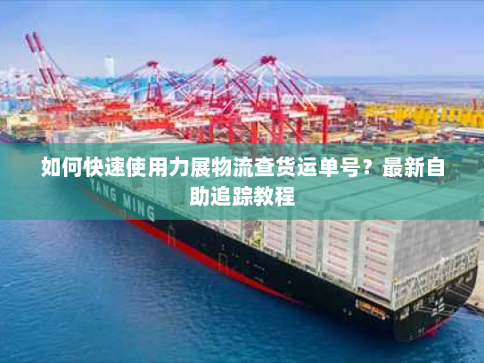 如何快速使用力展物流查货运单号？最新自助追踪教程