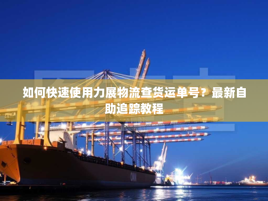 如何快速使用力展物流查货运单号？最新自助追踪教程