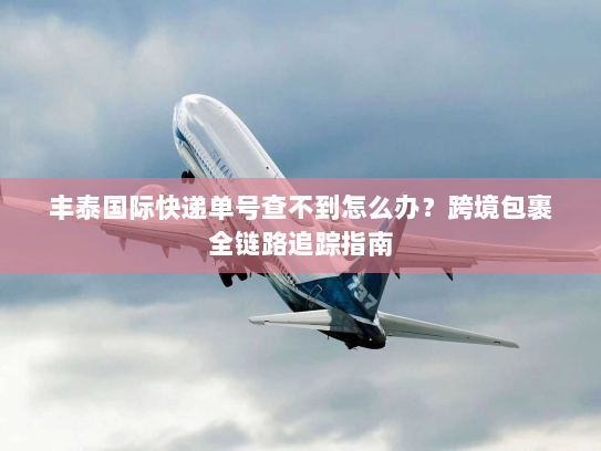 丰泰国际快递单号查不到怎么办?跨境包裹全链路追踪指南 丰泰国际快递单号查不到怎么办?跨境包裹全链路追踪指南