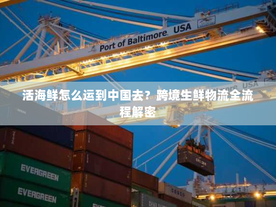 活海鲜怎么运到中国去？跨境生鲜物流全流程解密