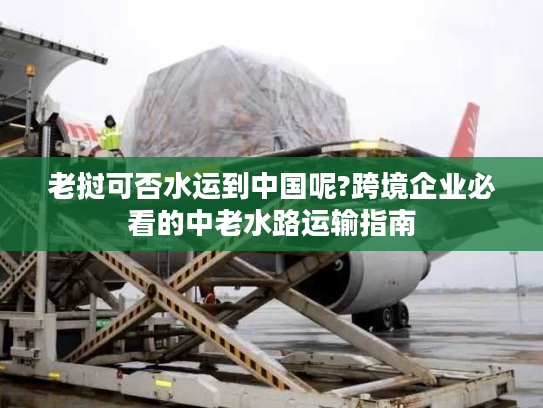 老挝可否水运到中国呢?跨境企业必看的中老水路运输指南 老挝可否水运到中国呢?跨境企业必看的中老水路运输指南