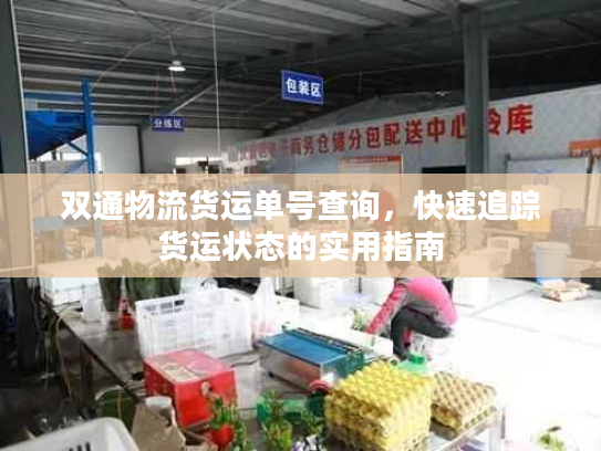 双通物流货运单号查询，快速追踪货运状态的实用指南