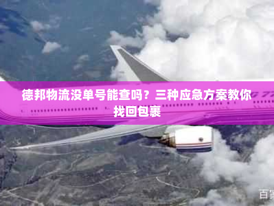 德邦物流没单号能查吗？三种应急方案教你找回包裹