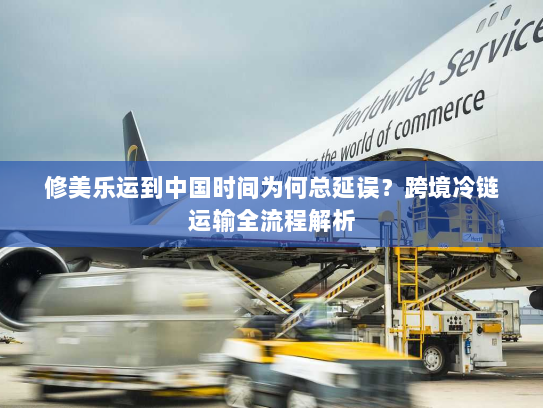 修美乐运到中国时间为何总延误？跨境冷链运输全流程解析