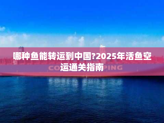哪种鱼能转运到中国?2025年活鱼空运通关指南