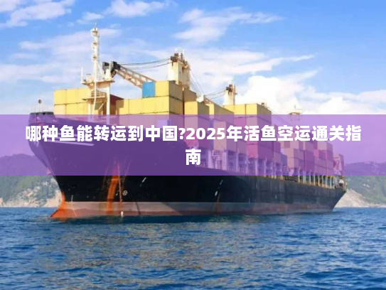 哪种鱼能转运到中国?2025年活鱼空运通关指南