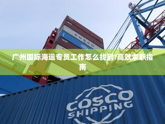 广州国际海运专员工作怎么找到?高效求职指南