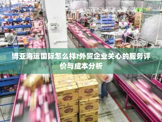 博亚海运国际怎么样?外贸企业关心的服务评价与成本分析