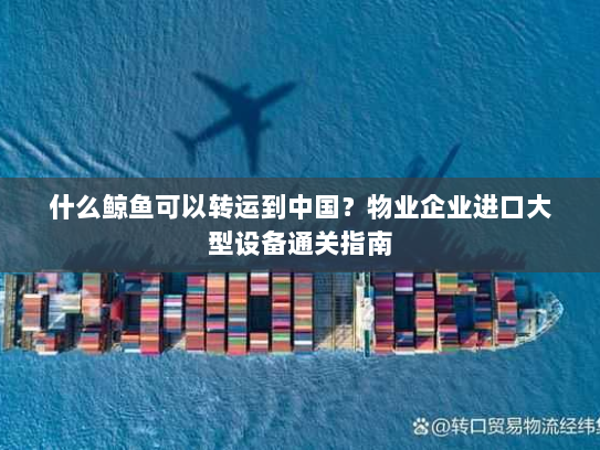 什么鲸鱼可以转运到中国？物业企业进口大型设备通关指南
