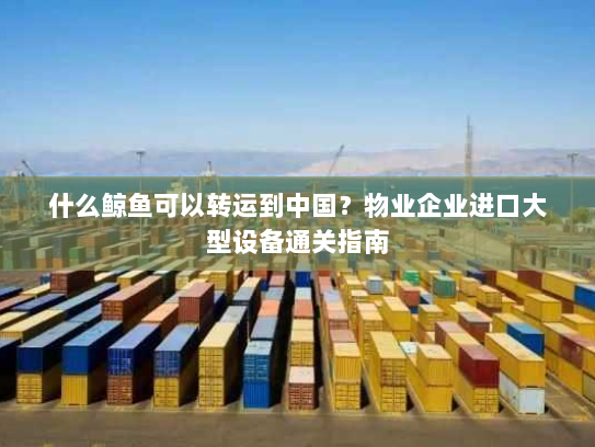 什么鲸鱼可以转运到中国？物业企业进口大型设备通关指南