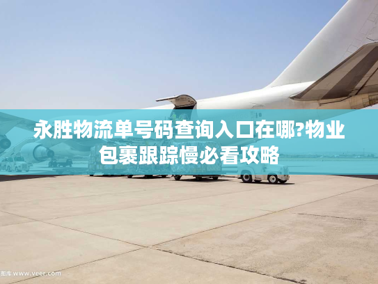 永胜物流单号码查询入口在哪?物业包裹跟踪慢必看攻略