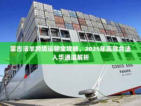 蒙古活羊跨境运输全攻略，2025年高效合法入华通道解析