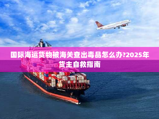 国际海运货物被海关查出毒品怎么办?2025年货主自救指南