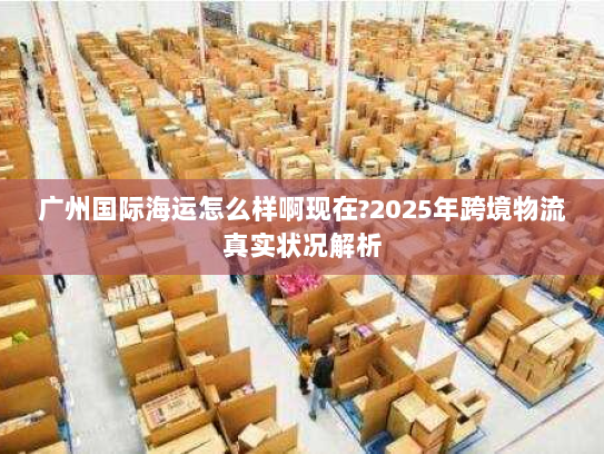广州国际海运怎么样啊现在?2025年跨境物流真实状况解析 广州国际海运怎么样啊现在?2025年跨境物流真实状况解析