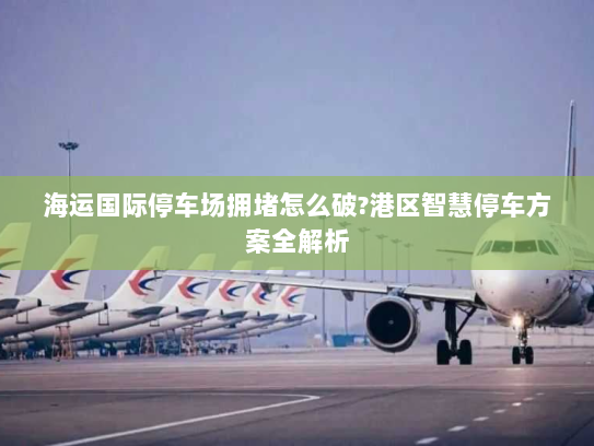 海运国际停车场拥堵怎么破?港区智慧停车方案全解析