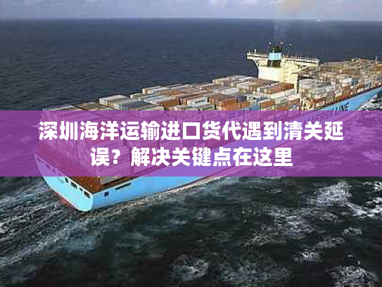 深圳海洋运输进口货代遇到清关延误？解决关键点在这里