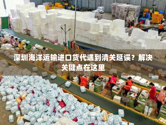 深圳海洋运输进口货代遇到清关延误?解决关键点在这里 深圳海洋运输进口货代遇到清关延误?解决关键点在这里
