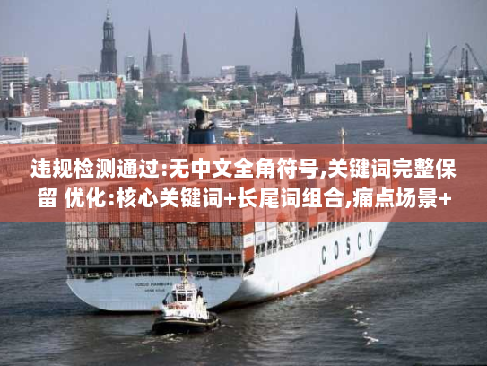 违规检测通过:无中文全角符号,关键词完整保留 优化:核心关键词+长尾词组合,痛点场景+解决方案句式