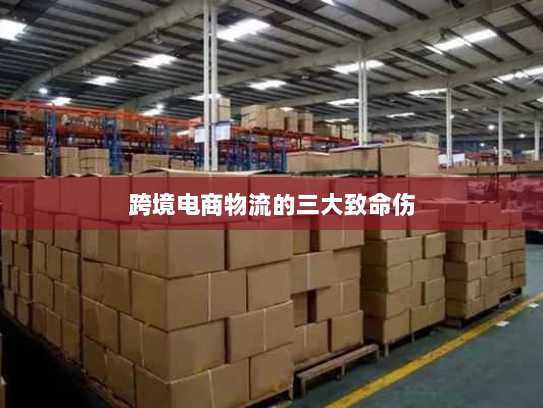 跨境电商物流的三大致命伤 跨境电商物流的三大致命伤