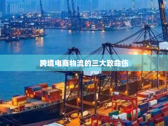 跨境电商物流的三大致命伤 跨境电商物流的三大致命伤