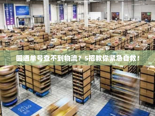 圆通单号查不到物流？5招教你紧急自救！