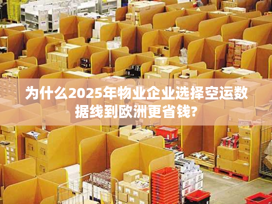 为什么2025年物业企业选择空运数据线到欧洲更省钱?