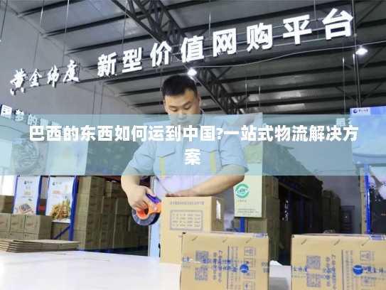 巴西的东西如何运到中国?一站式物流解决方案