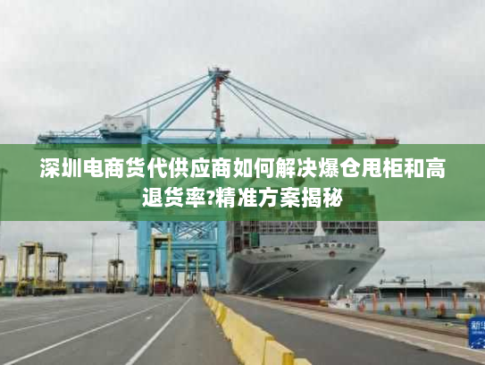 深圳电商货代供应商如何解决爆仓甩柜和高退货率?精准方案揭秘 深圳电商货代供应商如何解决爆仓甩柜和高退货率?精准方案揭秘