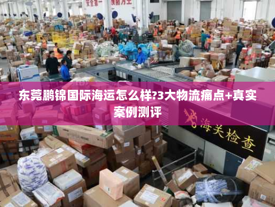 东莞鹏锦国际海运怎么样?3大物流痛点+真实案例测评 东莞鹏锦国际海运怎么样?3大物流痛点+真实案例测评