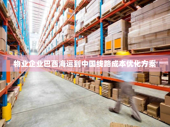 物业企业巴西海运到中国线路成本优化方案 物业企业巴西海运到中国线路成本优化方案