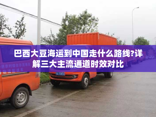 巴西大豆海运到中国走什么路线?详解三大主流通道时效对比