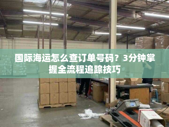 国际海运怎么查订单号码？3分钟掌握全流程追踪技巧