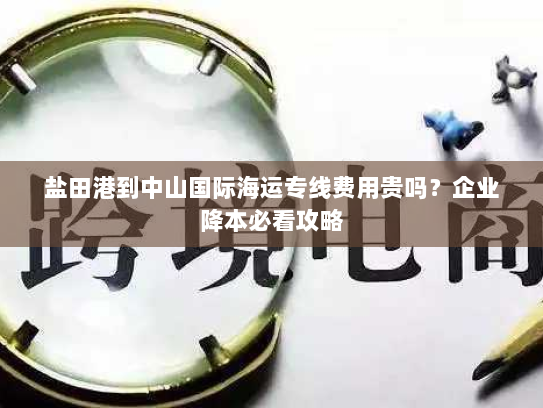 盐田港到中山国际海运专线费用贵吗?企业降本必看攻略 盐田港到中山国际海运专线费用贵吗?企业降本必看攻略