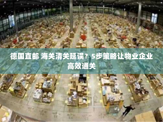 德国直邮 海关清关延误?5步策略让物业企业高效通关 德国直邮 海关清关延误?5步策略让物业企业高效通关