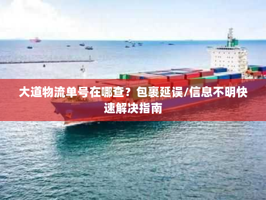 大道物流单号在哪查?包裹延误/信息不明快速解决指南 大道物流单号在哪查?包裹延误/信息不明快速解决指南