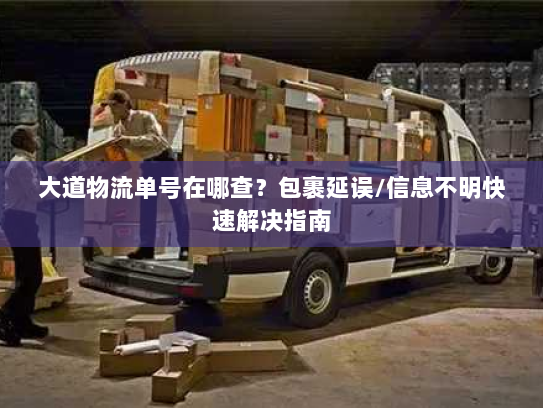 大道物流单号在哪查?包裹延误/信息不明快速解决指南 大道物流单号在哪查?包裹延误/信息不明快速解决指南