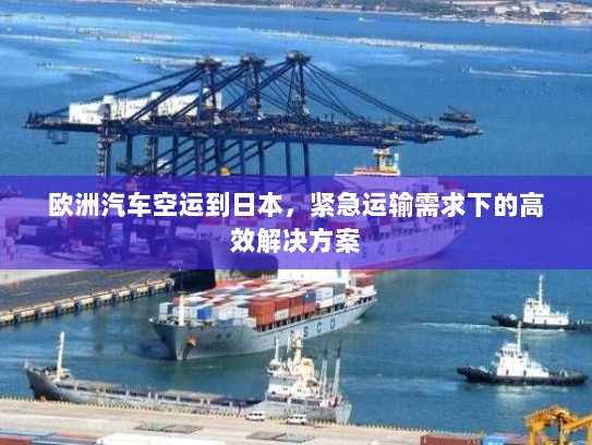 欧洲汽车空运到日本,紧急运输需求下的高效解决方案 欧洲汽车空运到日本,紧急运输需求下的高效解决方案