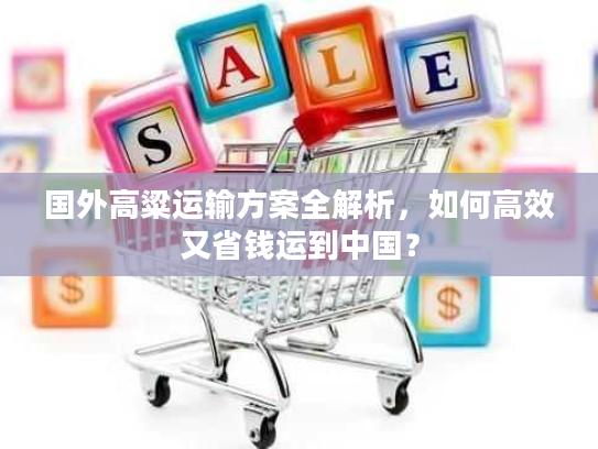 国外高粱运输方案全解析，如何高效又省钱运到中国？