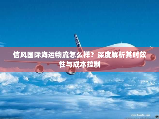 信风国际海运物流怎么样？深度解析其时效性与成本控制