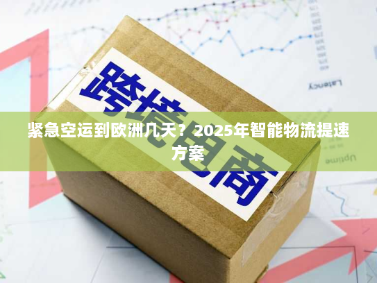 紧急空运到欧洲几天?2025年智能物流提速方案 紧急空运到欧洲几天?2025年智能物流提速方案