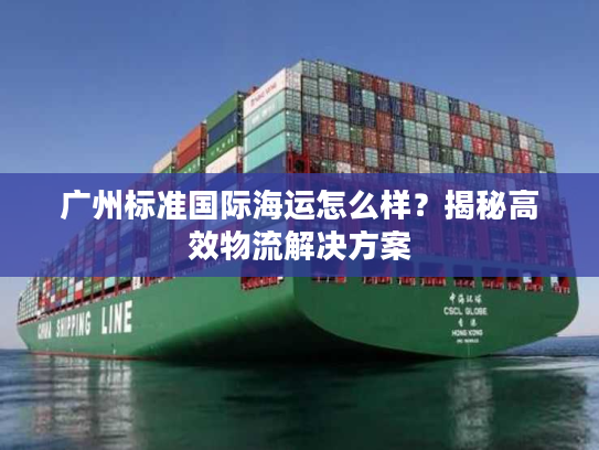 广州标准国际海运怎么样？揭秘高效物流解决方案